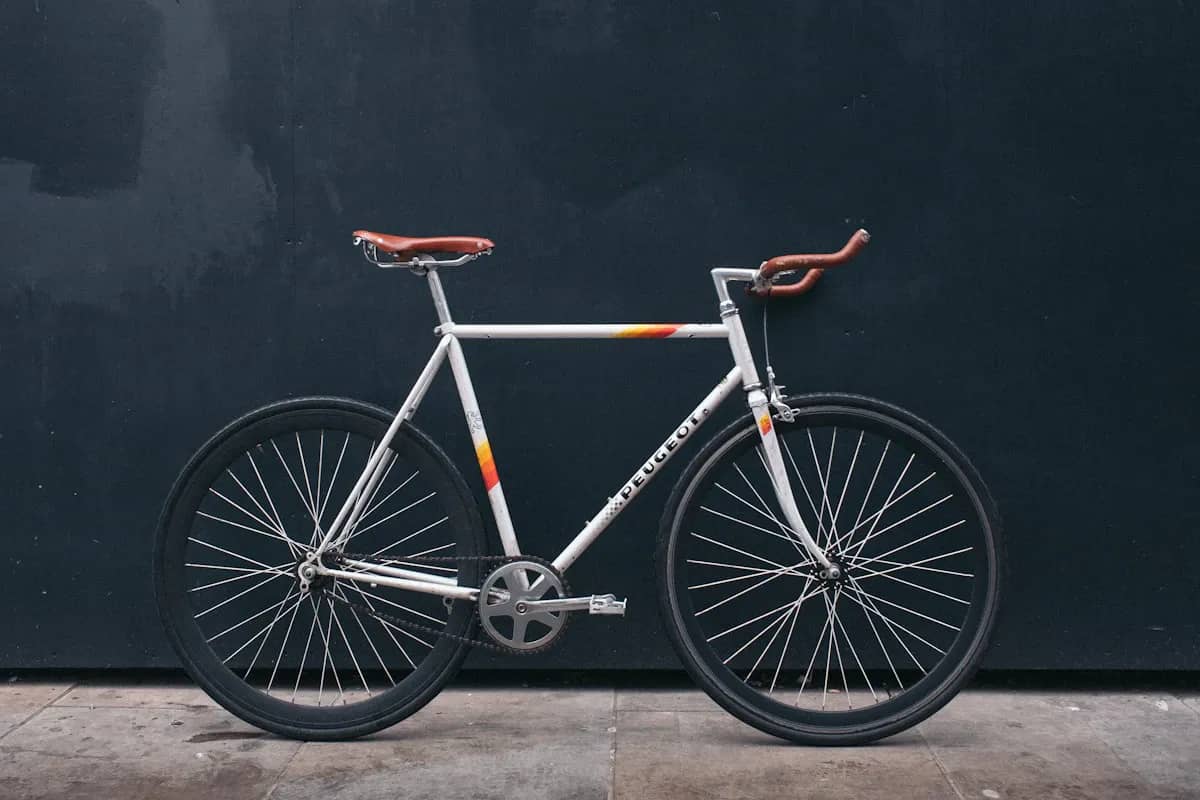 Velo de ville a Dehamcha